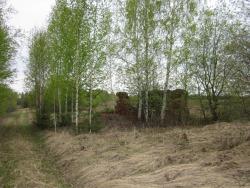 post-1615-0-80107700-1338213355_thumb.jp