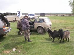 post-1697-0-51010300-1337935021_thumb.jp