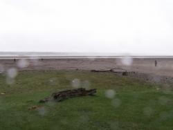 post-1697-0-54816300-1337934714_thumb.jp