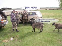 post-1697-0-59580200-1337934972_thumb.jp