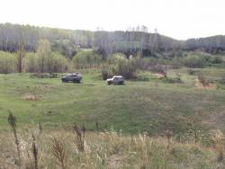 post-1697-0-66259600-1337935265_thumb.jp