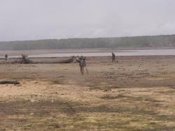 post-1697-0-82704700-1337934774_thumb.jp