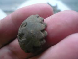 post-2349-0-83348400-1336055441_thumb.jp