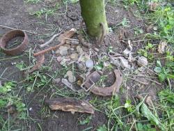 post-2817-0-26049900-1337606886_thumb.jp