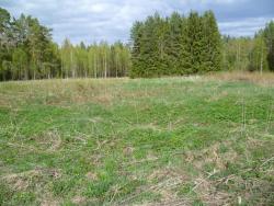 post-2838-0-12790800-1337007197_thumb.jp