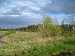 post-2838-0-17374900-1337007136_thumb.jp