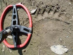 post-2838-0-24656000-1338120953_thumb.jp