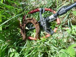 post-2838-0-72659200-1338120729_thumb.jp