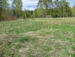 post-2838-0-79167300-1337007322_thumb.jp