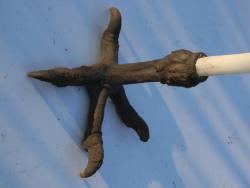 post-3295-0-42622800-1337527757_thumb.jp