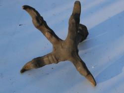 post-3295-0-73425800-1337527869_thumb.jp