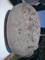 post-3696-0-40800000-1336465051_thumb.jp