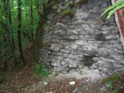 post-3939-0-04173500-1336914939_thumb.jp