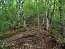 post-3939-0-15993000-1336908048_thumb.jp