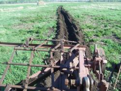 post-4269-0-16495500-1337182752_thumb.jp