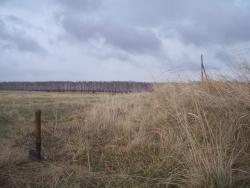 post-4269-0-28400700-1336131226_thumb.jp