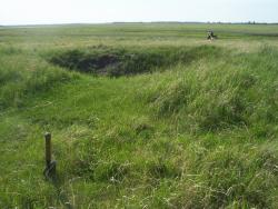 post-4269-0-34245500-1338443162_thumb.jp