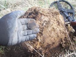 post-4269-0-38080700-1335974488_thumb.jp