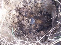 post-4269-0-38230600-1335974600_thumb.jp