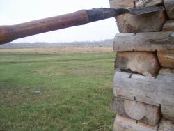 post-4269-0-50687000-1336131363_thumb.jp