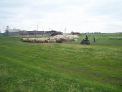 post-4269-0-58967200-1338442806_thumb.jp