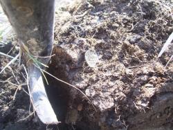 post-4269-0-75396500-1336494368_thumb.jp