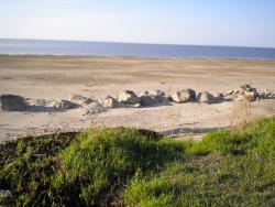 post-4632-0-05097000-1338206699_thumb.jp