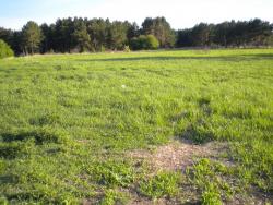 post-4632-0-17670200-1338206687_thumb.jp