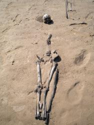 post-4632-0-64345100-1335865934_thumb.jp