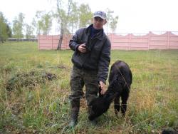 post-4632-0-98422700-1338211697_thumb.jp