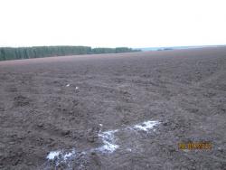 post-4655-0-33489800-1337798133_thumb.jp