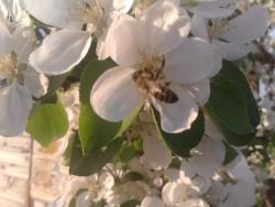 post-4989-0-38311800-1337616160_thumb.jp