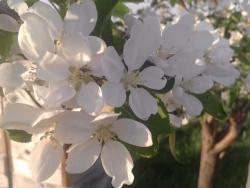 post-4989-0-56624500-1337616196_thumb.jp