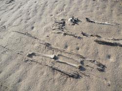 post-5061-0-20732900-1335884065_thumb.jp