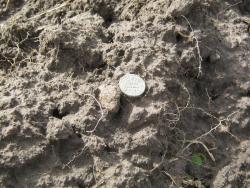 post-5580-0-02950600-1336926540_thumb.jp