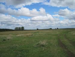 post-6245-0-98541300-1337964772_thumb.jp