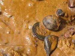 post-6368-0-04212800-1338318042_thumb.jp