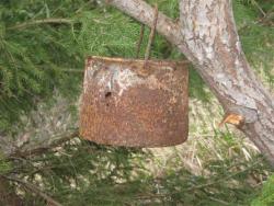 post-6368-0-06395100-1336414577_thumb.jp