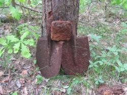 post-6368-0-08455000-1338316616_thumb.jp