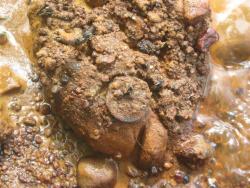 post-6368-0-09431900-1338317957_thumb.jp