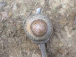 post-6368-0-35747400-1335986176_thumb.jp