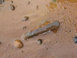 post-6368-0-61989100-1338317533_thumb.jp