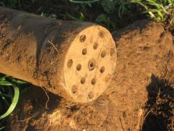 post-6368-0-75667300-1338315254_thumb.jp