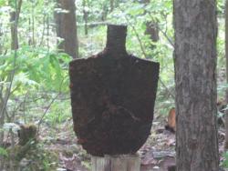 post-6368-0-76522600-1338316573_thumb.jp