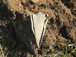 post-6368-0-79352700-1338315868_thumb.jp