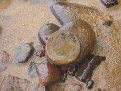 post-6368-0-86429900-1338317311_thumb.jp