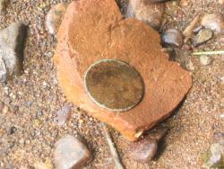 post-6368-0-87122900-1338317858_thumb.jp