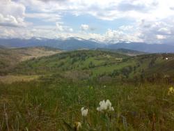 post-6685-0-01299200-1337394458_thumb.jp