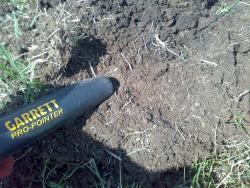 post-6685-0-10331500-1336021436_thumb.jp