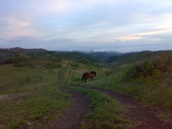 post-6685-0-29001200-1337401900_thumb.jp